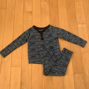 Patagonia 2t Capilene Set